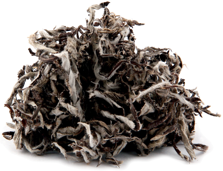 Life Everlasting Leaves, Whole 1/8 oz Penn Herb Company OnLine Herb