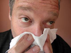 Sniffle Free