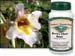 Devil's Claw Root, 60 Vcaps� - 575mg (Harpangophytum/Harpango procumbens)