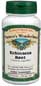 Echinacea angustifolia Root, 60 Vcaps� - 450mg