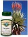 Cape Aloes, 60 Vcaps� - 775mg (Aloe ferox)