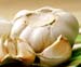 Garlic, Minced, 1oz. (Allium sativum)