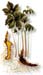 Golden Seal Root, Powder, 4oz. (Hydrastis canadensis)
