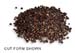 Grains of Paradise, Whole, 1oz (Amomum granum paradisi)
