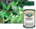 Gymnema Sylvestre, 60 Vcaps� - 625mg