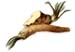 Horseradish, Powder, 1oz. (Armoracia rusticana)