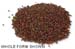 Mustard Seed, Black, Whole, 1oz