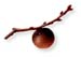 Nut Galls Aleppo, Cut, 1oz.
