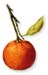 Orange Peel, Sweet, Cut, 16oz.