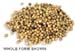 Peppercorns, White, Whole,1oz.