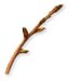 White Poplar Bark, Cut, 16oz.