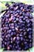 Saw Palmetto Berries, Cut, 1oz (Serenoa serrulata)