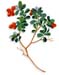 Uva Ursi Leaves, Cut, 16oz. (Arctostaphylos uva ursi)