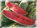 Watermelon Seed, Powder, 16oz.