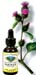 Burdock Root Liquid Extract - Arctium lappa, 1 fl oz (Nature's Wonderland)