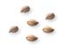 Cardamom Fruit, Whole, 16 oz