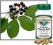 Cascara Sagrada Bark, 60 Vcaps� - 625mg (Rhamnus purshiana)