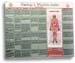 Healing: A Wholistic Guide Chart 11
