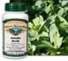Alfalfa Herb, 60 Vcaps� - 550mg (Medicago sativa)