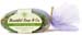 Green Tea & Lime Soap, 7 oz bar (Beautiful Soap & Co.)