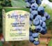 Berry Soft, 1 oz (A.G. Medic, LLC)