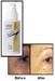 Nutra Lift One Step W/SPF 15, 2 oz (Younger You Inc.)