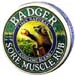 Badger Sore Muscles Rub - Cooling Blend, 0.75 oz / 21g (W.S. Badger Co.)