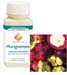 Mangosteen, 60 vegetarian capsules (Ayurceutics)