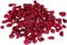 Dried Cranberries, 16 oz  (Nature's Wonderland)