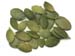 Raw Pumpkin Seeds, Shelled 16 oz (Nature's Wonderland)
