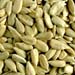 Sunflower Seeds, 16 oz (Nature's Wonderland)