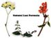 Haussmann's Nature's Lax  Formula  #5, 4 oz (Nature's Wonderland)