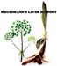 Haussmann's Liver Support  Formula  #9, 4 oz (Nature's Wonderland)