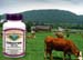 Colostrum, 100 capsules - 500mg (Nature's Wonderland)
