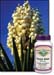 Yucca Root, 500mg - 100 capsules (Nature's Wonderland)