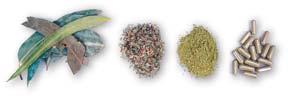 Click Here for Nature's Wonderland Herbs