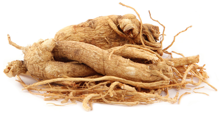 Ginseng korenina