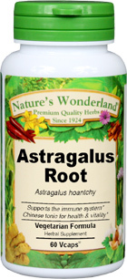 Astragalus Root