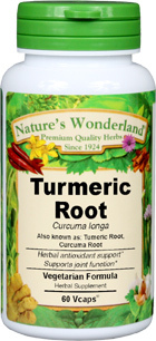 Turmeric Root